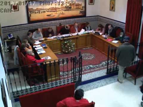 2013 Pleno ordinario de enero