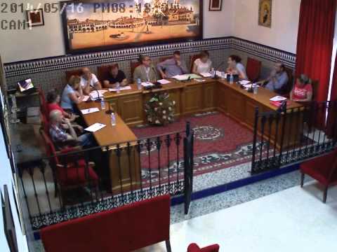 2014 Pleno ordinario de mayo