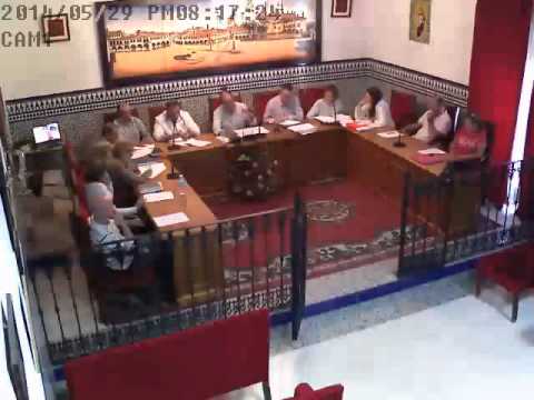 2014_05 Pleno extraordinario de 29 de mayo