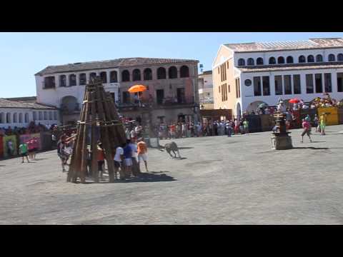 Toros y vaquillas del dia 19 de agosto de 2014