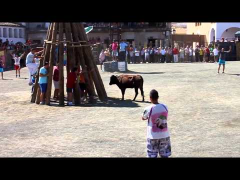 Toros y vaquillas del miercoles día 20 de agosto de 2014