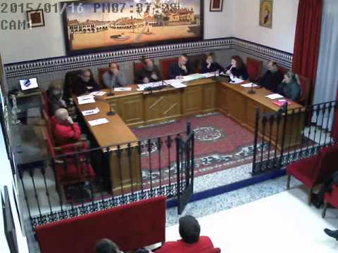 2015 Pleno de enero