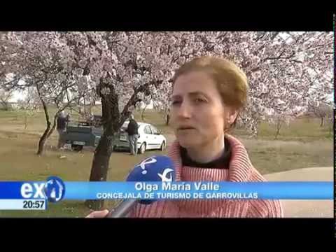 2015 El almendro en flor en canal extremadura