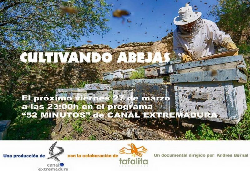 Cultivando abejas