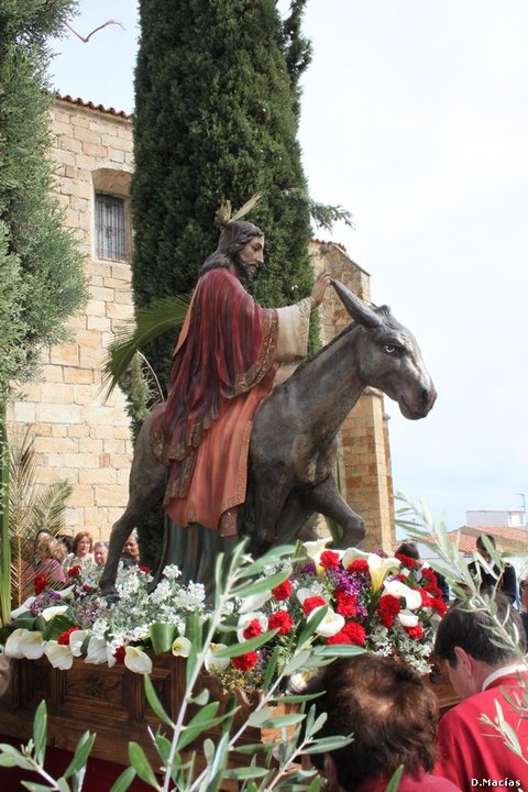 Procesión de Domingo de Ramos