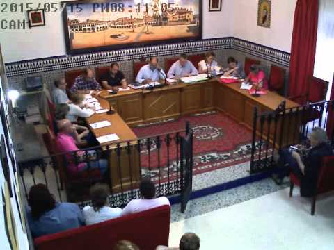 2015 Pleno de mayo