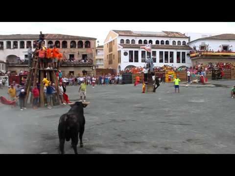 2015 domingo 23 de agosto - Toros