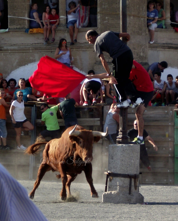 Fotografias de Miriam Salgado