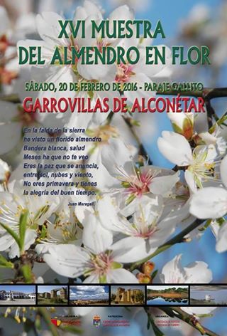 almendro en flor 2016