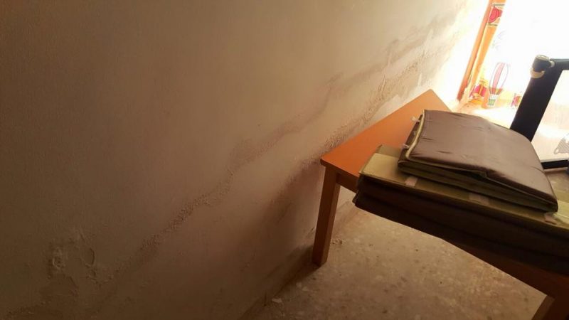 Increíble pero cierto