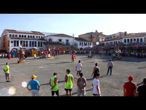 Toros martes 16 agosto 2016