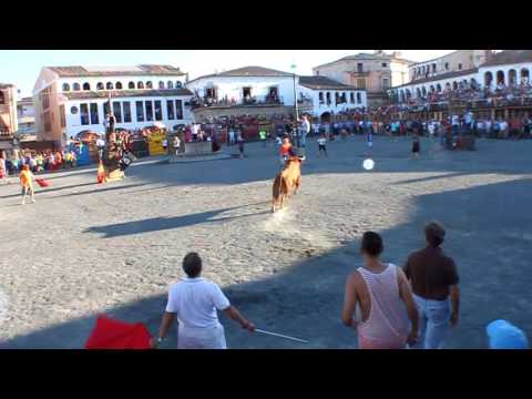 Toros viernes 19 agosto 2016