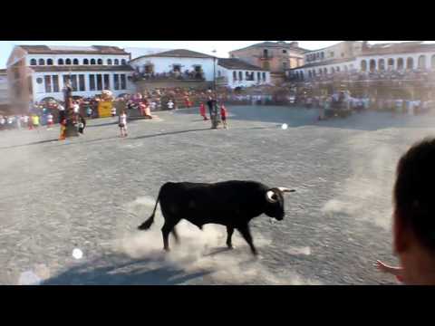 Toros Domingo 21 agosto 2016
