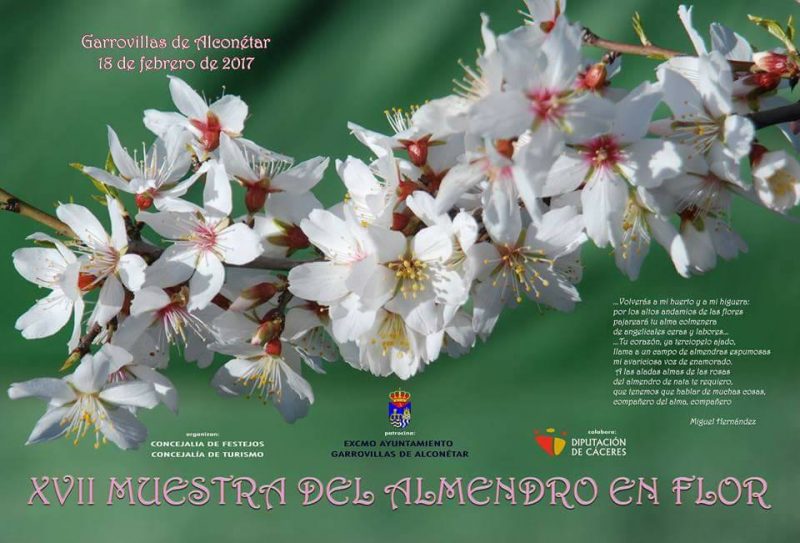 2017 Muestra del Almendro en Flor en Garrovillas de Alconéta