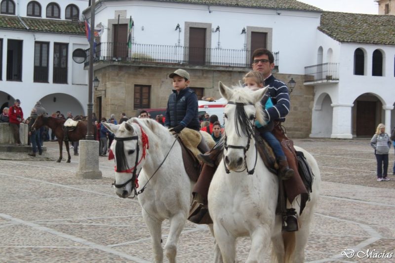Celebración de la XVII edicion del Almendro en Flor.