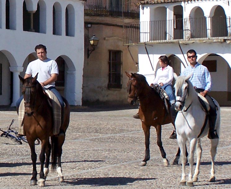 La Asociación Ecuestre